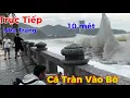 Lagu Trực tiếp sáng 28-11-2025 sóng quá Lớn cá Tràn hết vào Bờ 