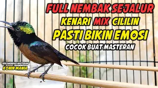 Download FULL NEMBAK SEJALUR !! KONIN GACOR FULL ISIAN KENARI MIX CILILIN, COCOK UNTUK MASTERAN KOLIBRI NINJA MP3