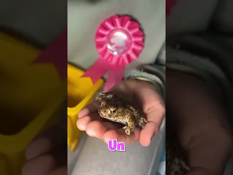 MI SOBRINA ESCONDE ALGO MISTERIOSO en LA CAJA 📦