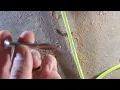 Freeman PSSCP Pneumatic 3 Single Pin Concrete Nailer Review