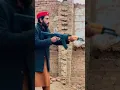 Ak47 Model 2016 Made Romania