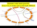 Genome wide study Part 19 Circos Easy way to make Circos Circos through TBTool Circa
