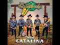 Negra catalina