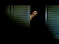 Download Lagu Hamood Habibi horror game trailer.