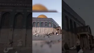 جزء من أنشودة سنخوض معاركنا معهم بصوتي 