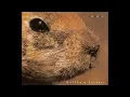 Butthole Surfers - Pepper