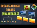 Organizational chart and its benefits