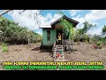 Download Lagu Satu minggu bermukim ditransmigrasi pak karni lahannya bagus bgt dan siap bertani sayur