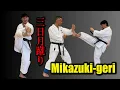 Download Lagu [Nakata Tatsuya's Budo Karate] How to use the \