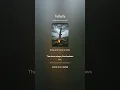 Foja - Valhalla