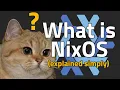 Nix Nixpkgs and NixOS Explained Simply