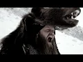 Download Lagu WOLFHEART - The King (Official Video) | Napalm Records