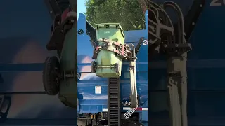                       دندنها