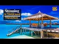 Download Lagu 4k Tropical Beach | Beautiful Tropical Music | Chill \u0026 House Music | Maldives Island \u0026 Bora Bora