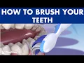 The best way to BRUSH YOUR TEETH - Modified Bass Technique