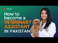 How to Become a Veterinary Assistant in Pakistan Career Guide