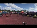Kaimu Farmer s Market