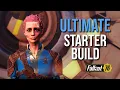 Beginner Build BEST Perk Cards for New Players