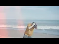 Download Lagu PAL - Memory July【Music Video】