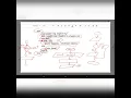 Dual Selection Flowchart