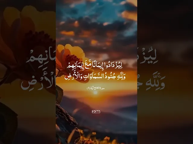 ⁣بِسْمِ اللَّـهِ الرَّحْمَـٰنِ الرَّحِيمِ  #تلاوة #قرآن  #سورة_الفتح