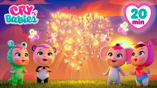 O Mistério da Constelação Escondida! 🌌 Cry Babies Magic Tears em Português | Desenhos Infantis
