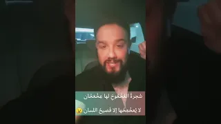 شجرة الع خ عوخ لها ع خ ع خ ان لا ي عخ ع خ ها إلا ف صيح اللسان Shorts 