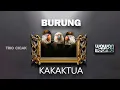 Download Lagu BURUNG KAKAK TUA  --- Wawan Teamlo  a.k .a  TRIO CICAK  ( Official Music Video)