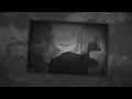 viejo lobo - Peso Pluma & Tito Double P (Lyric Video)