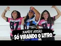 Download Lagu Só Virando o Litro - Xandy Avião - Coreografia Styllu Dance
