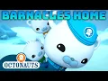 Download Lagu @Octonauts - 🐻‍❄️ Barnacles Goes Home 🧊 | 80 Mins+ Compilation | Underwater Sea Education