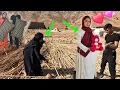 Download Lagu 🌟😃 A memorable visit with grandma and an exciting day buying wheat🌾💖