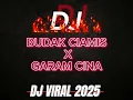 Download Lagu DJ BUDAK CIAMIS X GARAM CINA (2025)