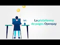Caracteristicas de la plataforma Openpay