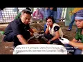 Download Lagu PR-HSD The Dharmasraya SumatranTiger Rehabilitation Centre