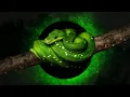 Premiere - Conf42 Python 2022
