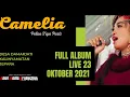 Download Lagu FULL ALBUM CAMELIA Terbaru Live Damarjati