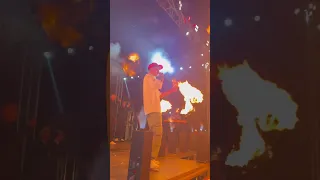 وسطك طري اوي استك فارس سكر 