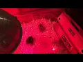 012 Setup for baby chicks from Tractor Supply