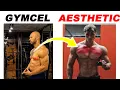 How To Build An AESTHETIC Chest Not a GYMCEL one