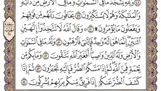 سورة النحل مكتوبة ياسر الدوسري 