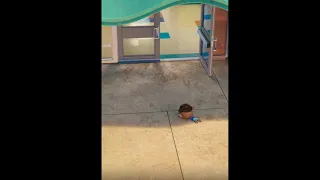 Kindergarteners GO Crazy Leo Is Now Streaming On Netflix 