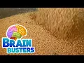 Serious Science Soybean Farming