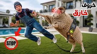 لما ابوك يجبلكم خروف العيد ويطلع خارق     علاء حسين  دندنها