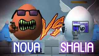 1v1ing the Best Shell Shockers Player