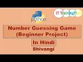 Number Guessing Game Beginner Project Hindi Python Program IT TrainingPath