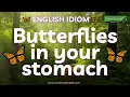 Butterflies in your stomach Meaning and Examples Learn English Idioms