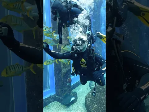 Уже второй день на острове, а мы все еще не покидали территорию отеля Atlantis Sanya