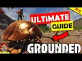 GROUNDED Ultimate Guide To ROLY POLY S Locations - How To Beat Them
