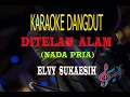 Download Lagu Karaoke Ditelan Alam Nada Pria - Elvy Sukaesih (Karaoke Dangdut Tanpa Vocal)